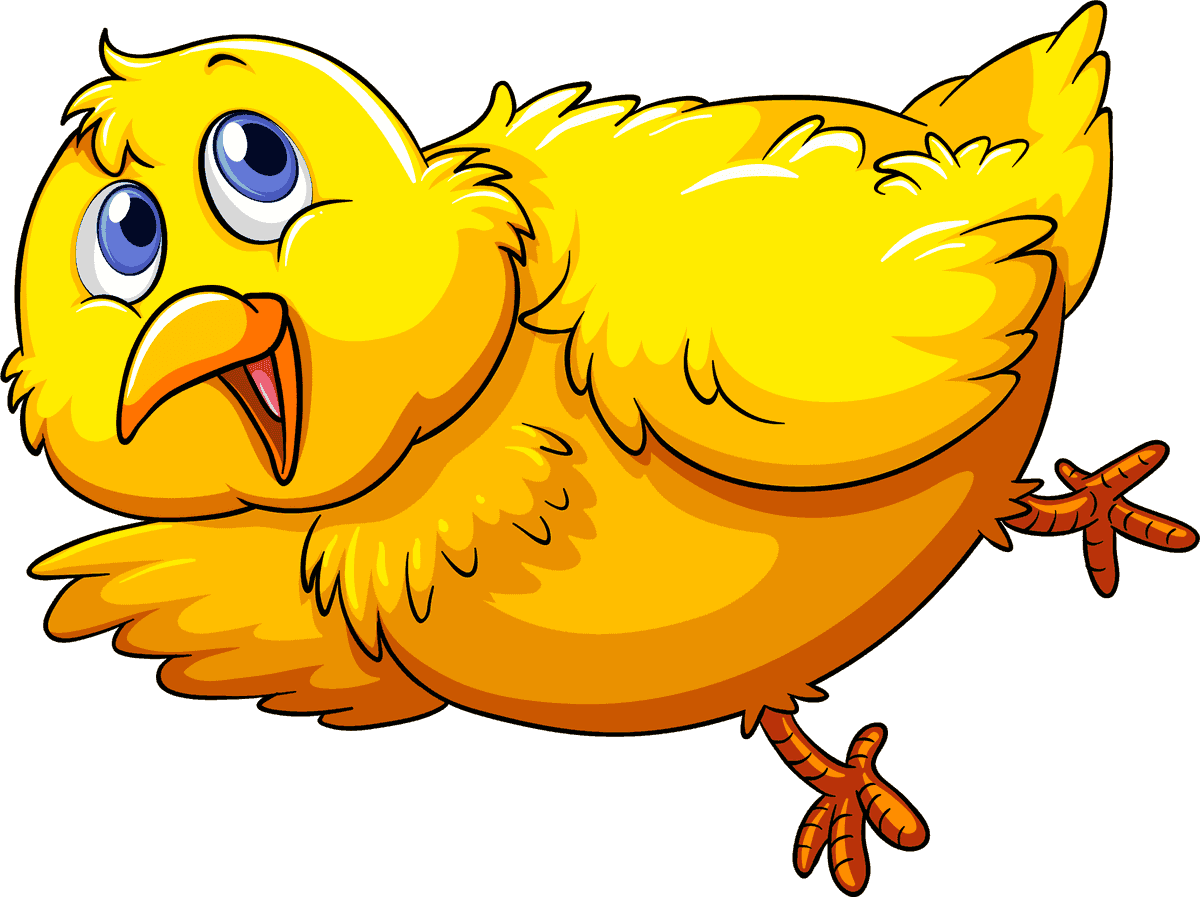 chick chicken fresh eggs illustration with playful character and vibrant colors for kids