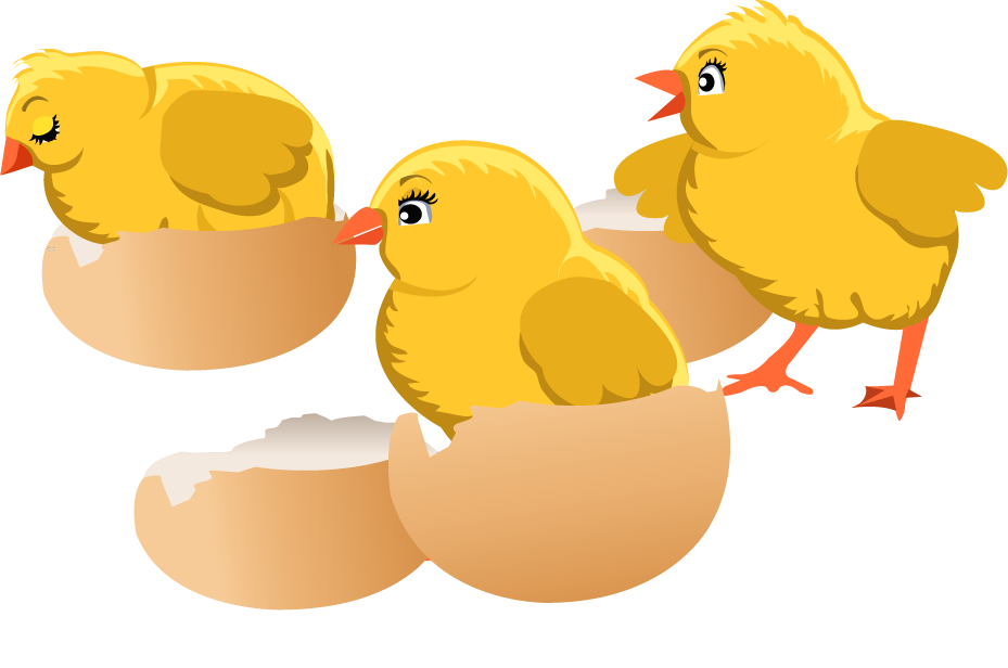 chicks hatch insect cute cartoon for playful designs, kids' content, and illustrations