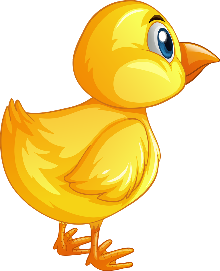 cute chicks hen chicks nest illustration for children's books or educational content