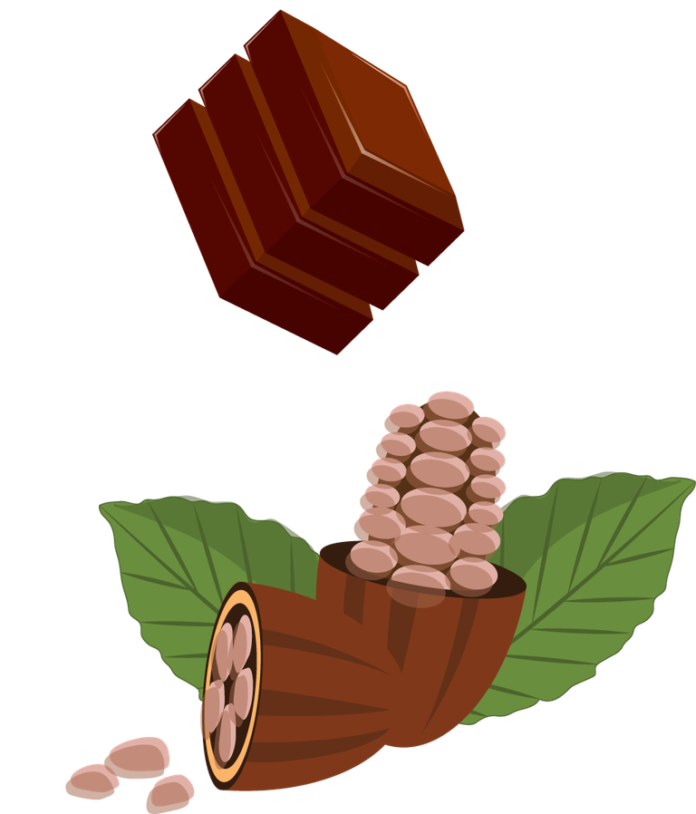 delightful chocolate products icons colored showcasing cocoa beans and chocolate bars