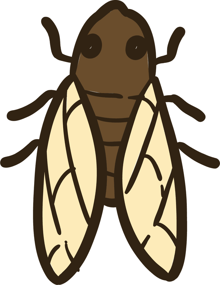 free cicadas cicada a transparent background vector 49858