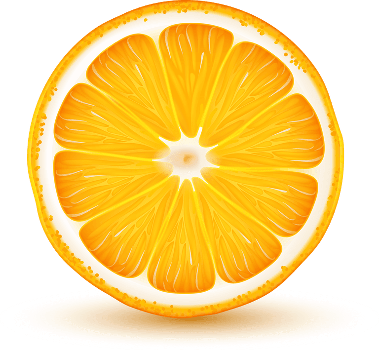 citrus fruits slices realistic closeup set with lemon lime grapefruit orange shadow reflection white