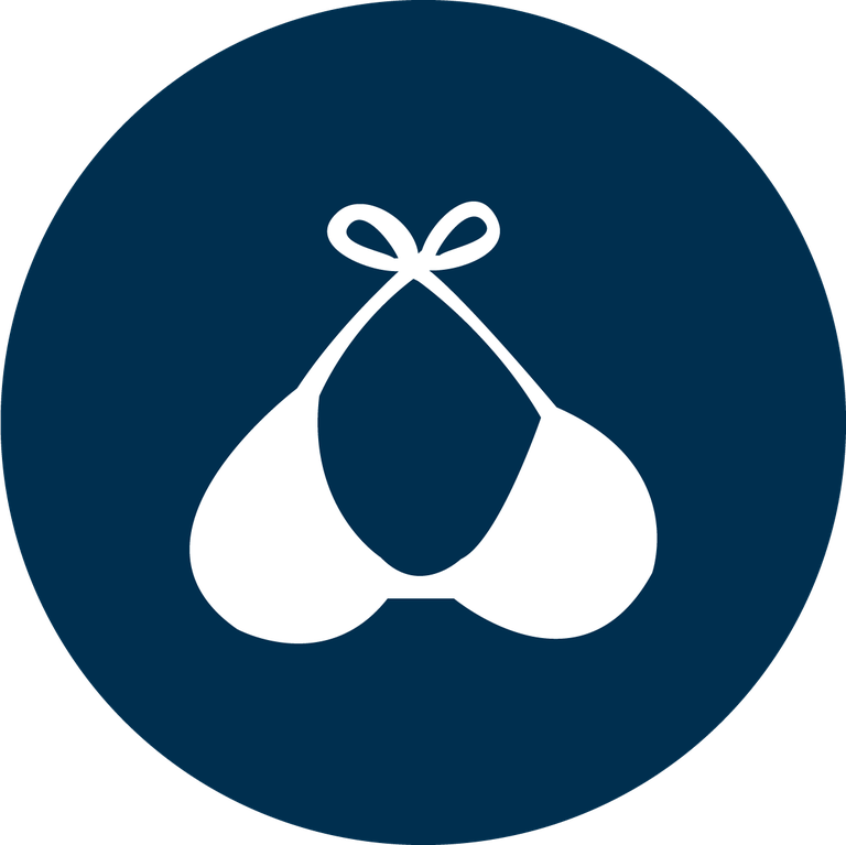 clothing and accessories color icons for swimwear with stylish bikini illustration