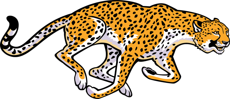 clouded leopard different type of wildlife animals on white background illustration