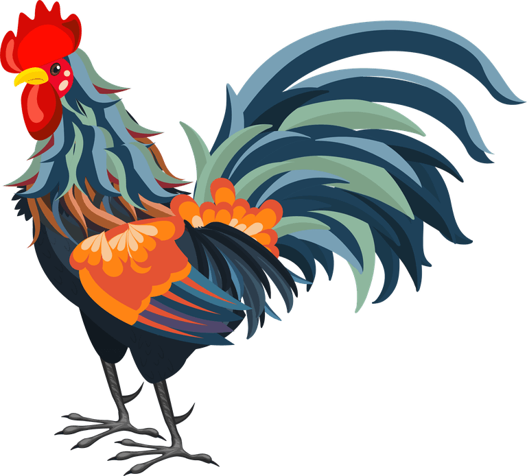 cock chicken icon classical colorful cute cartoon sketch