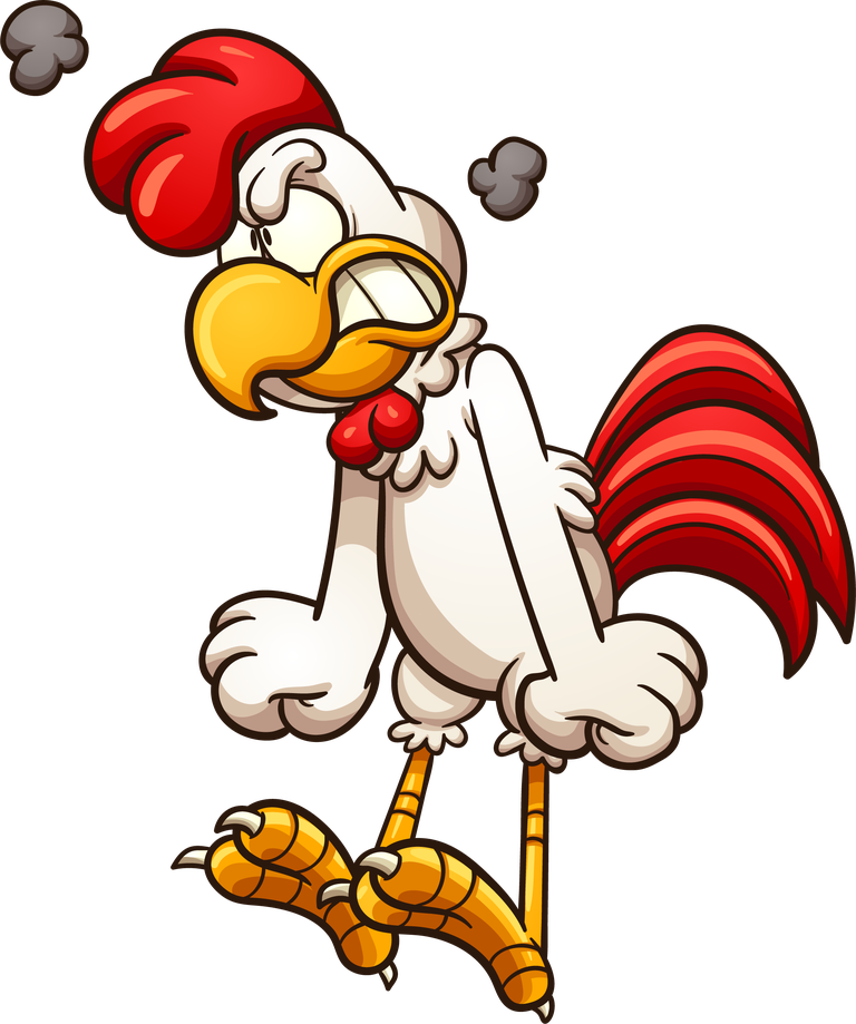 cock kind chicken cartoon vector