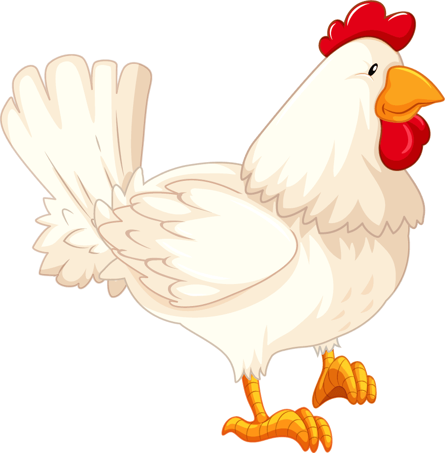 cock set different birds cartoon style isolated white background