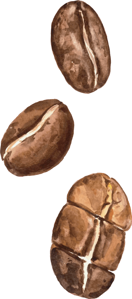 coffee arabica beans bag with coffee cup americano cinnamon coffee maker watercolor