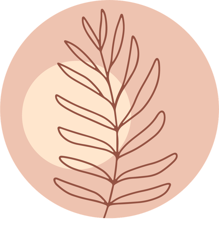 collection creative instagram highlights featuring minimalist botanical themes and soft color palettes