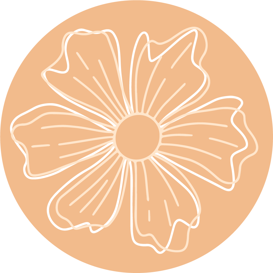 collection creative instagram highlights featuring floral line art for modern branding and engagement