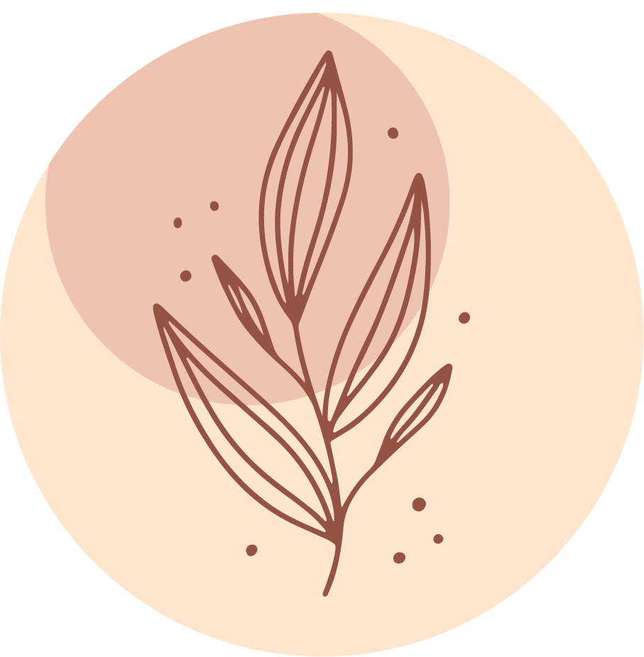 collection creative instagram highlights featuring minimalist botanical illustrations in soft pastel colors