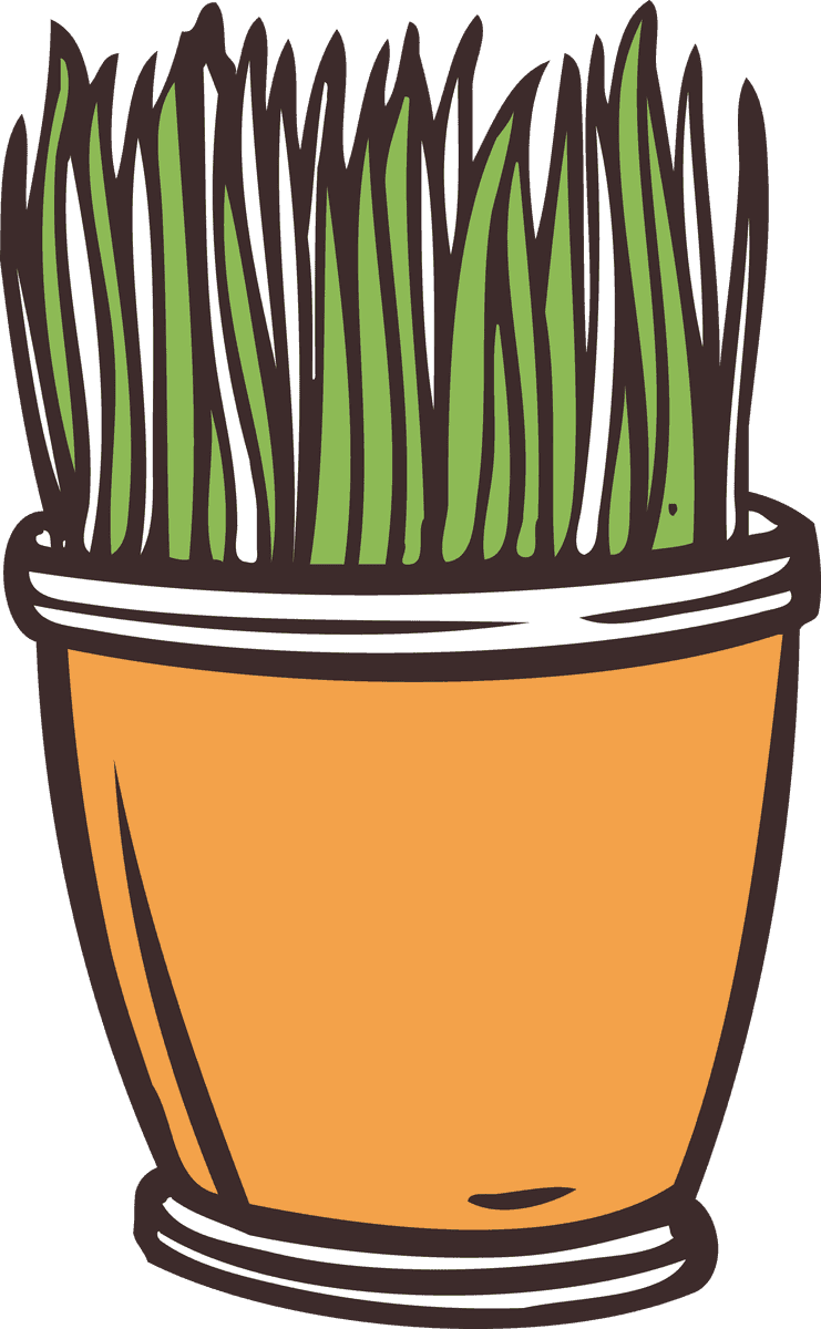 collection gardening elements tools for indoor and outdoor plant care activities