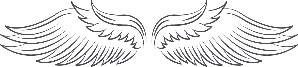 collection of angel wings icons with a variety of unique design and wearing a outline design style