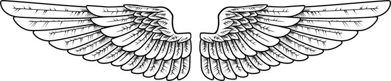 collection of angel wings icons with a variety of unique design and wearing a outline design style