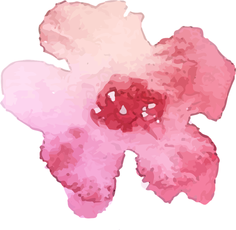 collection of pink flowers in watercolor