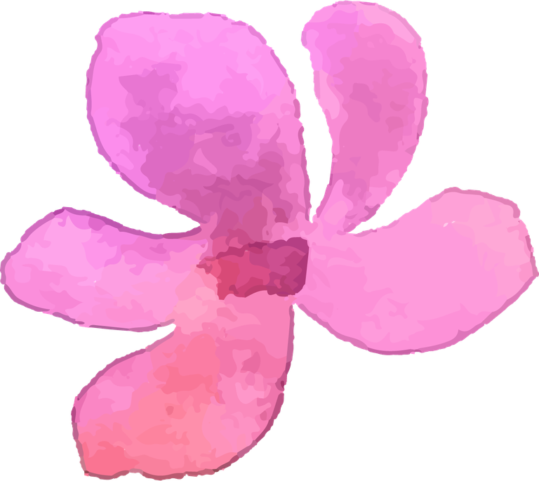 collection of pink flowers in watercolor