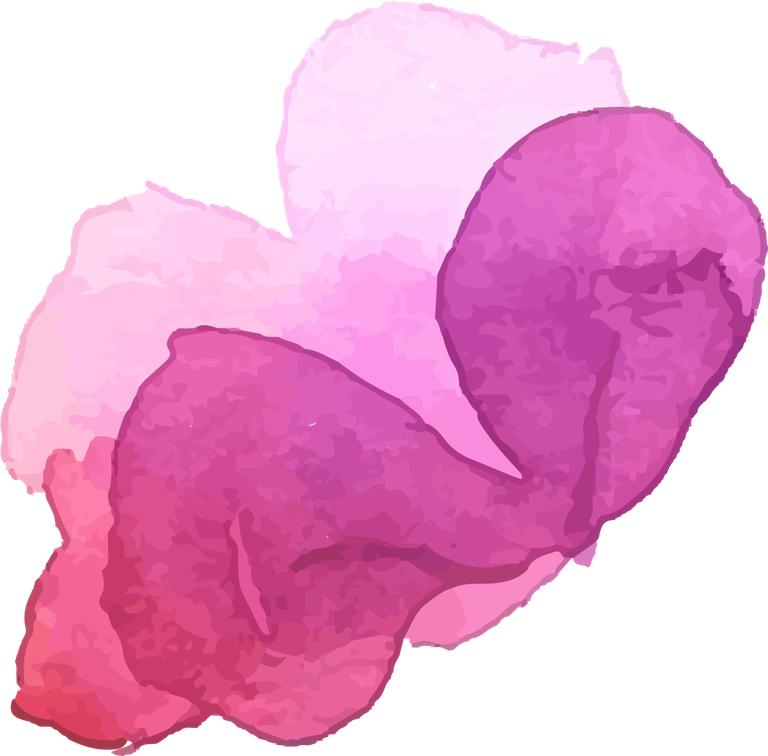 collection of pink flowers in watercolor
