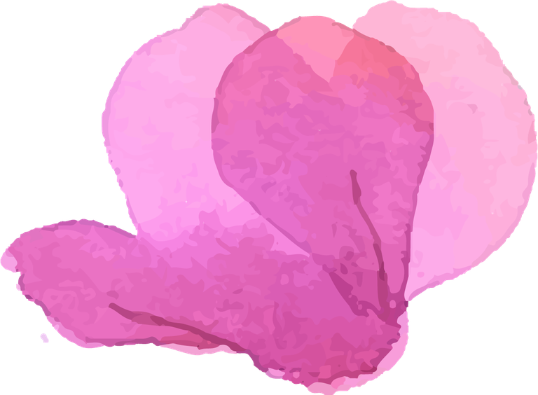 collection of pink flowers in watercolor