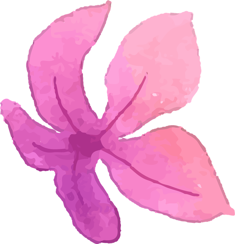 collection of pink flowers in watercolor