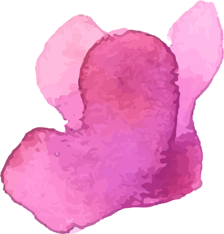 collection of pink flowers in watercolor
