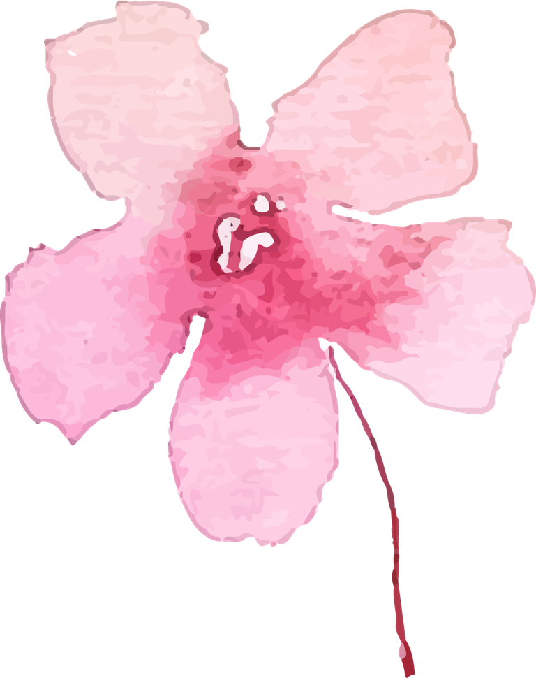 collection of pink flowers in watercolor