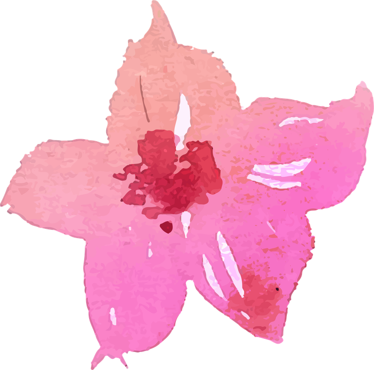 collection of pink flowers in watercolor