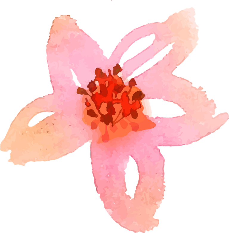 collection of pink flowers in watercolor