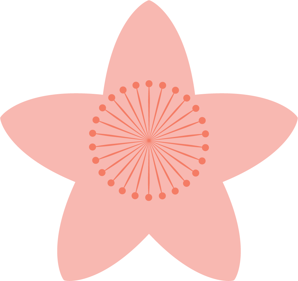 collection pink flowers with variety s