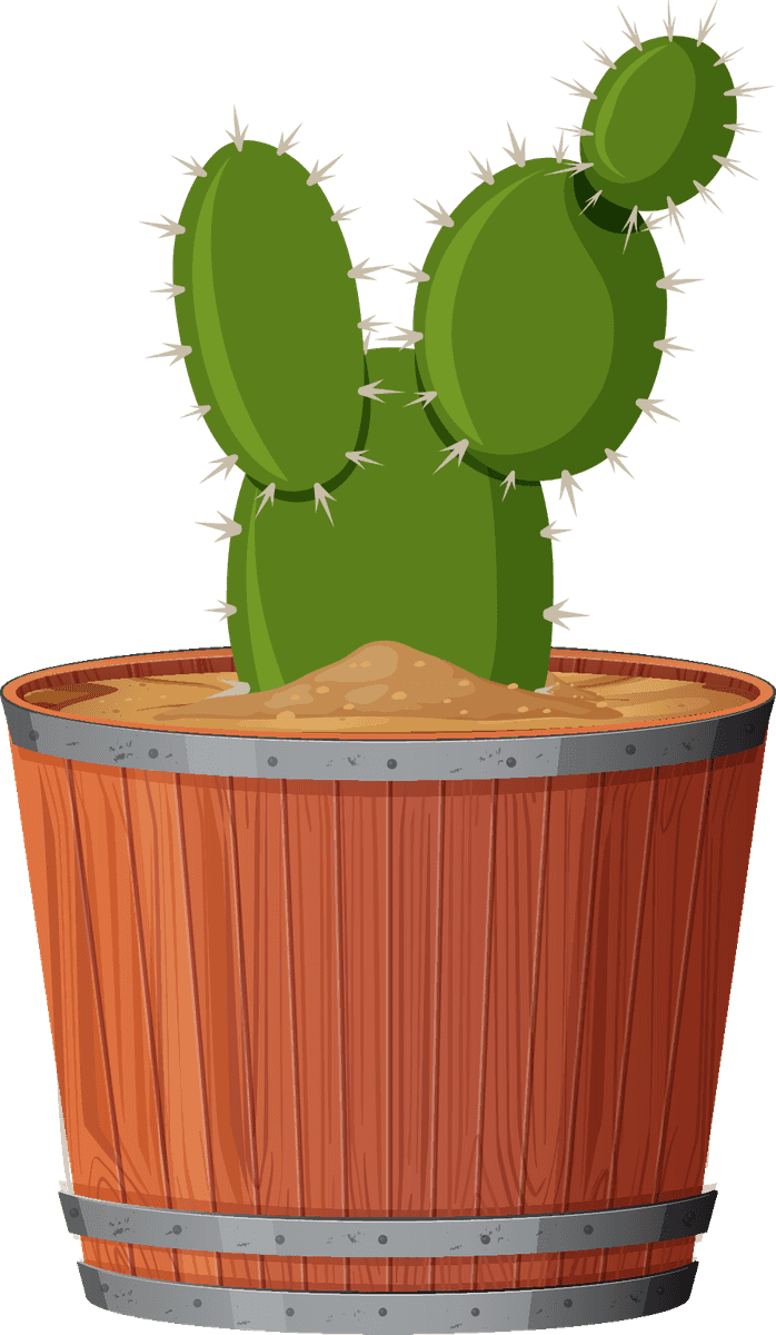 collection potted plants white style with vibrant cactus in wooden planter