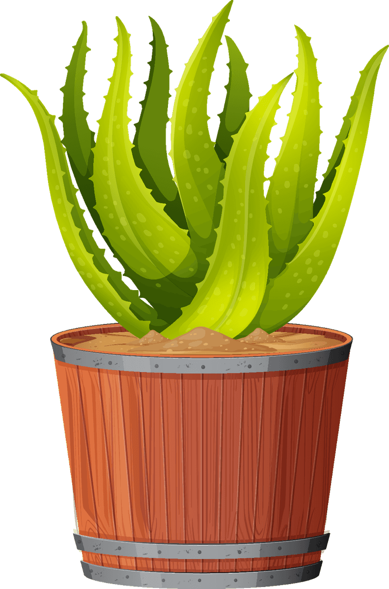 collection potted plants white featuring vibrant aloe vera in a rustic wooden pot