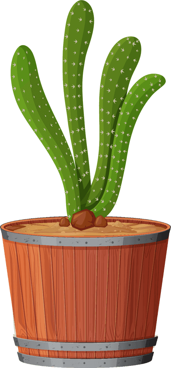 collection potted plants white with unique cacti in a rustic wooden planter