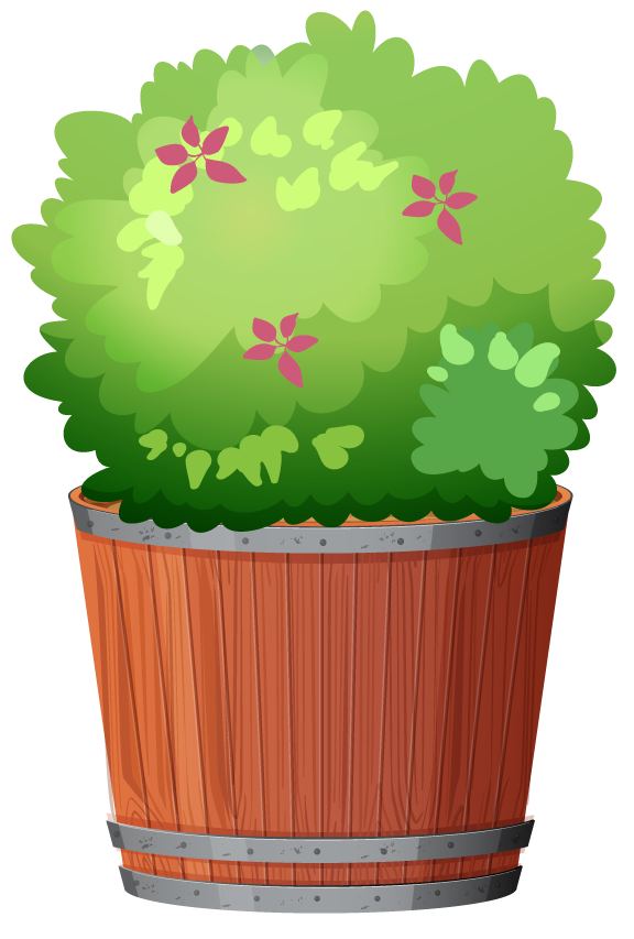 collection potted plants white showcasing vibrant greenery and a rustic wooden pot