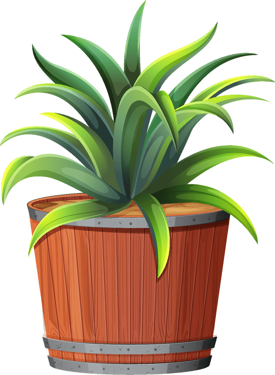 collection potted plants white with vibrant greenery for home and office decor