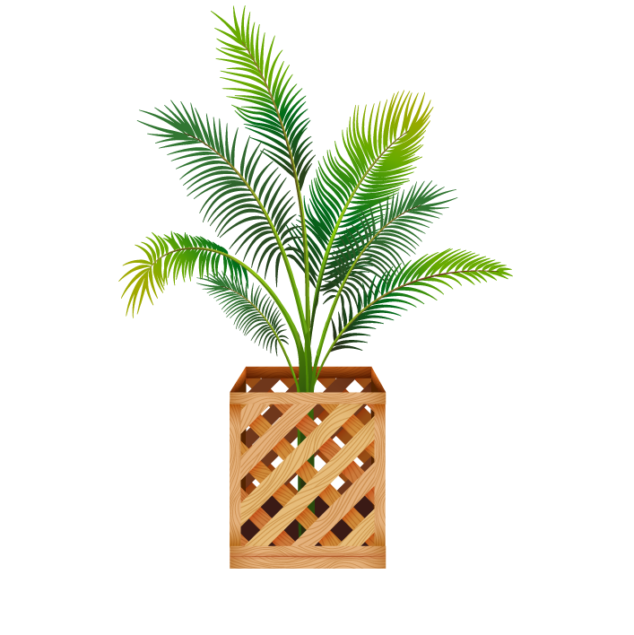 collection potted plants white with vibrant foliage in a wooden planter for home decor