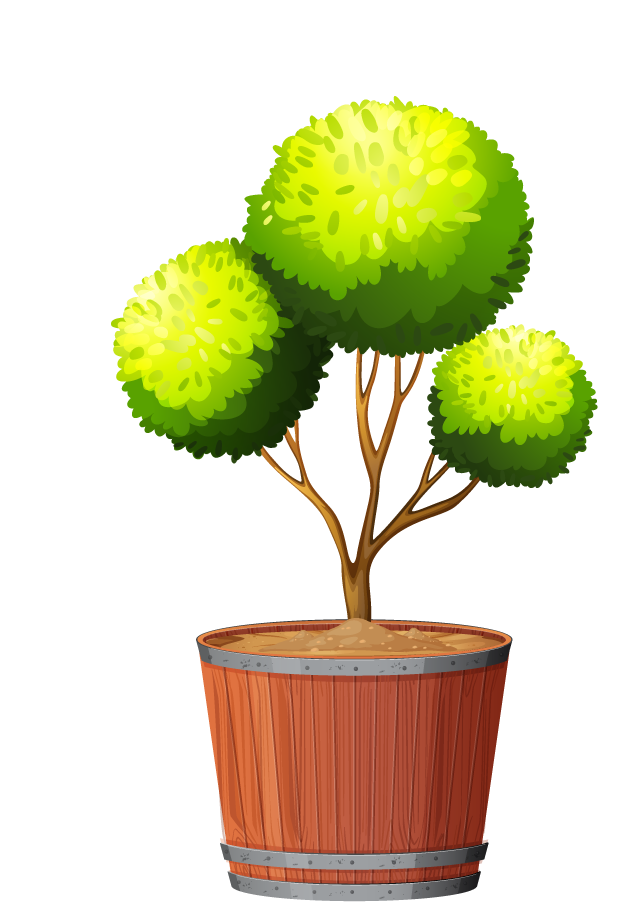 collection potted plants white with vibrant foliage for home decor and art projects