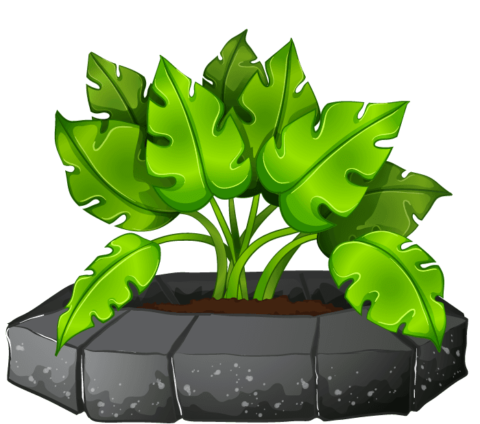 collection potted plants white with vibrant greenery and unique stone planter for cheerful spaces