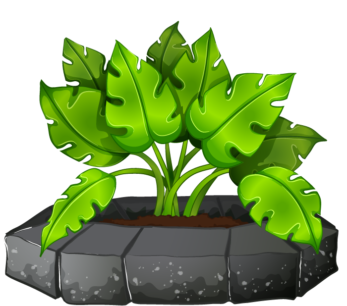 collection potted plants white with vibrant greenery and unique stone planter for cheerful spaces
