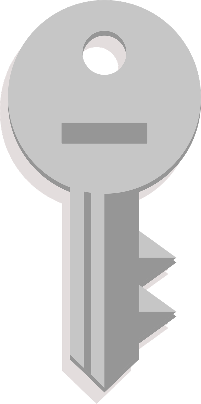 collection silver golden keys icon