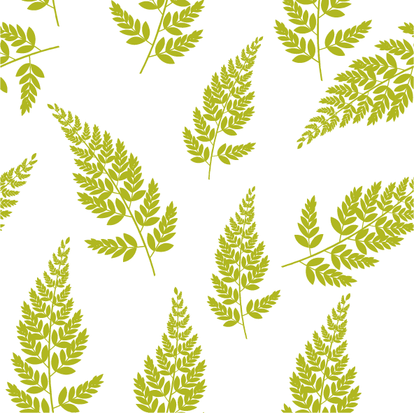 collection top seamless pattern backgrounds with green fern leaves on white backdrop