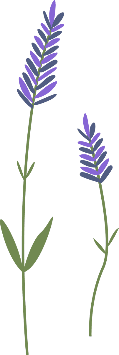 collection wild flowers illustration featuring vibrant lavender blooms for nature-themed projects