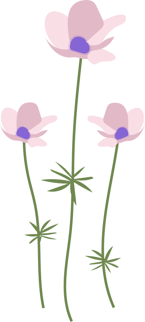 collection wild flowers illustration