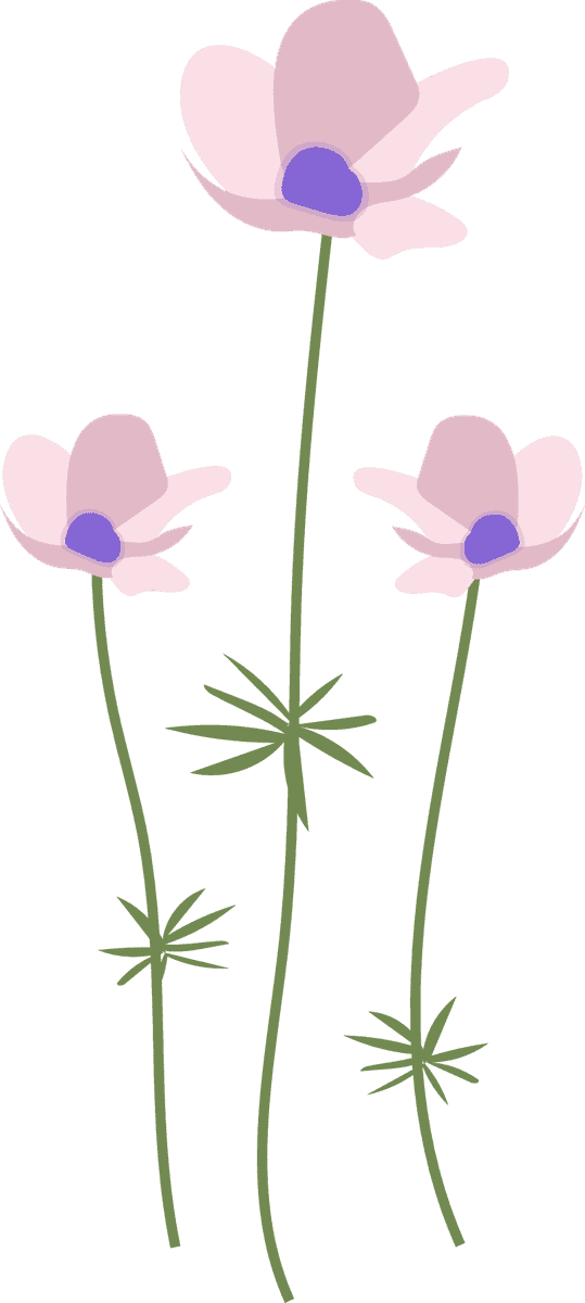 collection wild flowers illustration in soft pastel style for home decor and nature lovers