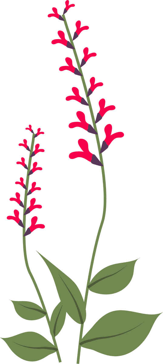 collection wild flowers illustration showcasing vibrant red floral designs for nature lovers