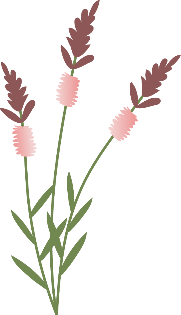 collection wild flowers illustration