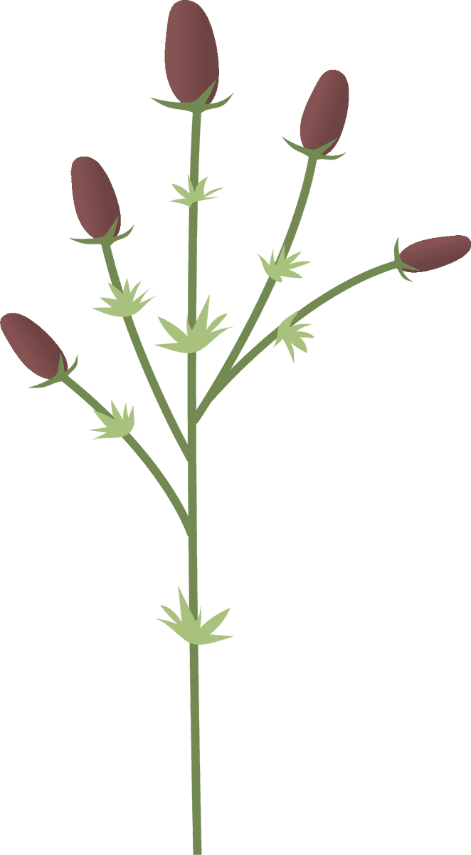 collection wild flowers illustration depicting detailed floral elements for nature lovers