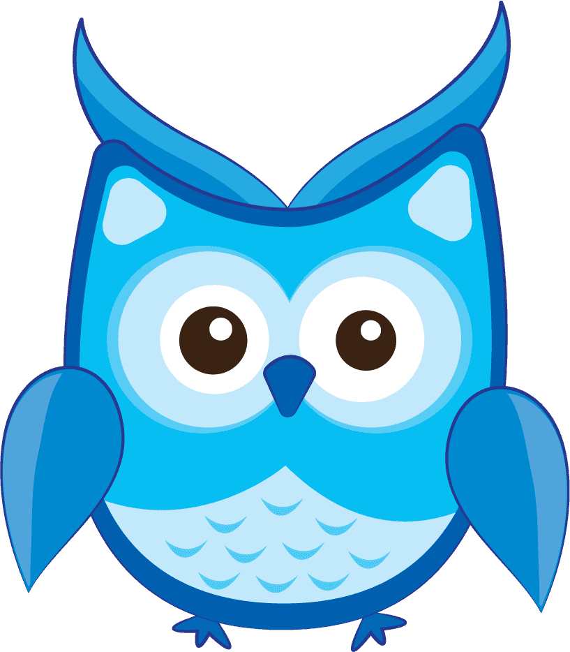colorful cartoon owl characters