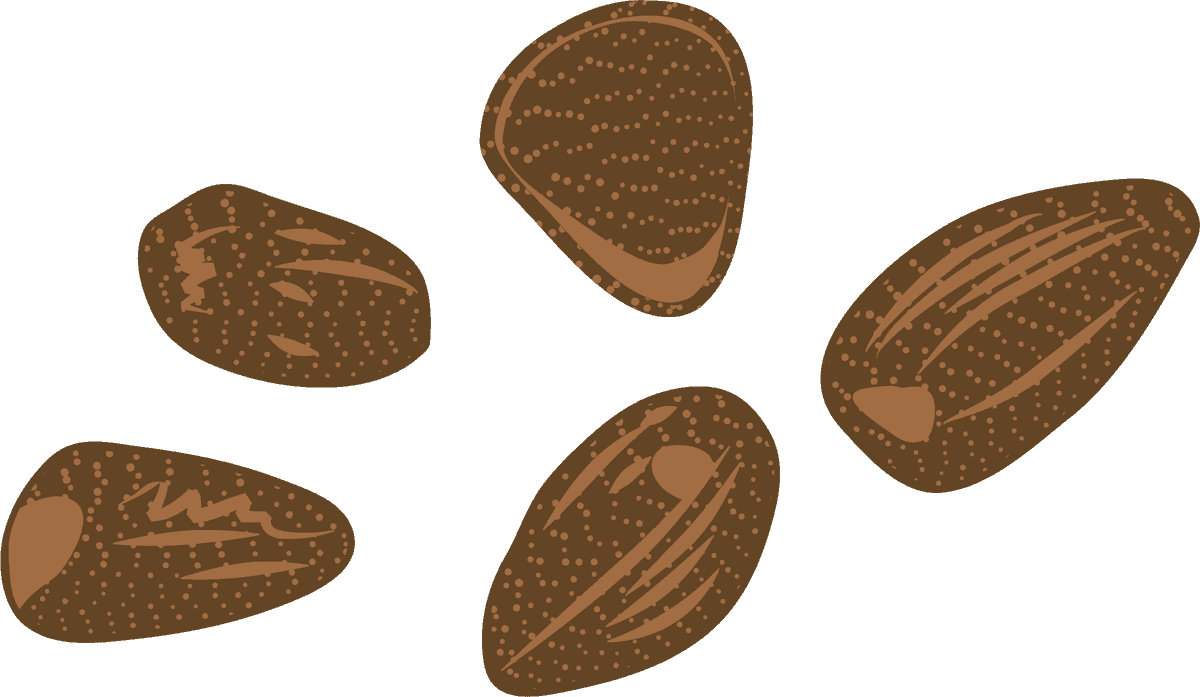 colorful natural organic nuts collection featuring diverse textures and shapes for healthy snacking
