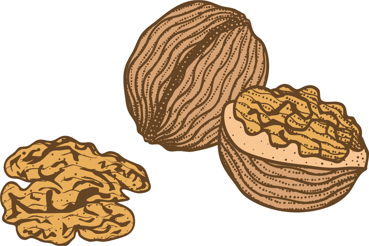 colorful natural organic nuts collection with distinct textures and rich flavors for healthy living