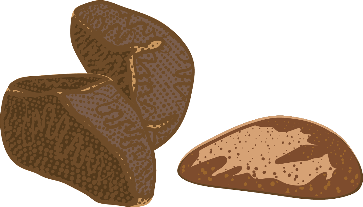 colorful natural organic nuts collection perfect for healthy recipes and culinary delights