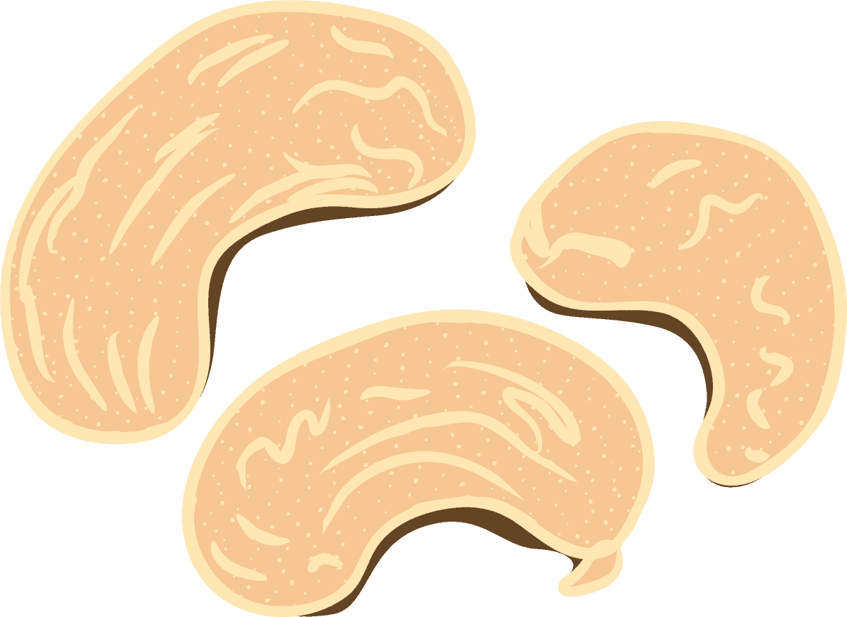 colorful natural organic nuts collection featuring cashews in playful and vibrant styles for healthy snacking